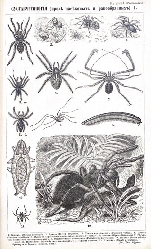   1896      +