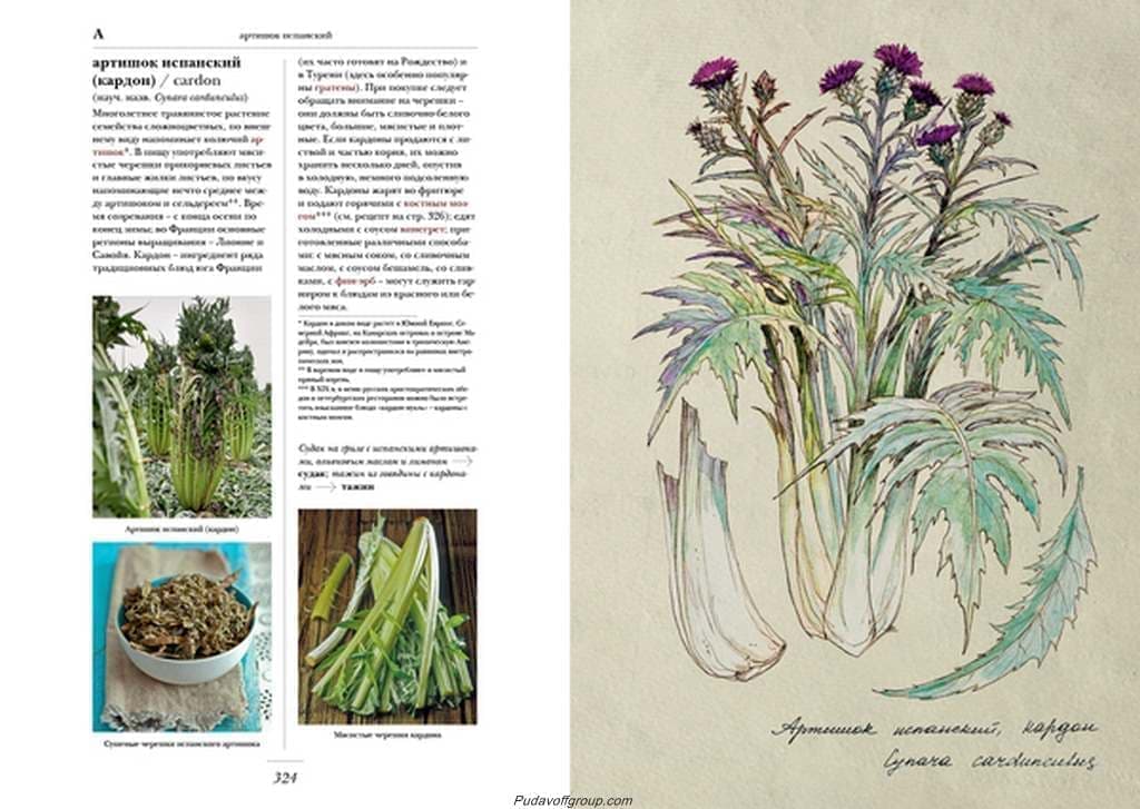   "  " (larousse gastronomique)  i  2-   - vip-biznes-podarki.ru 