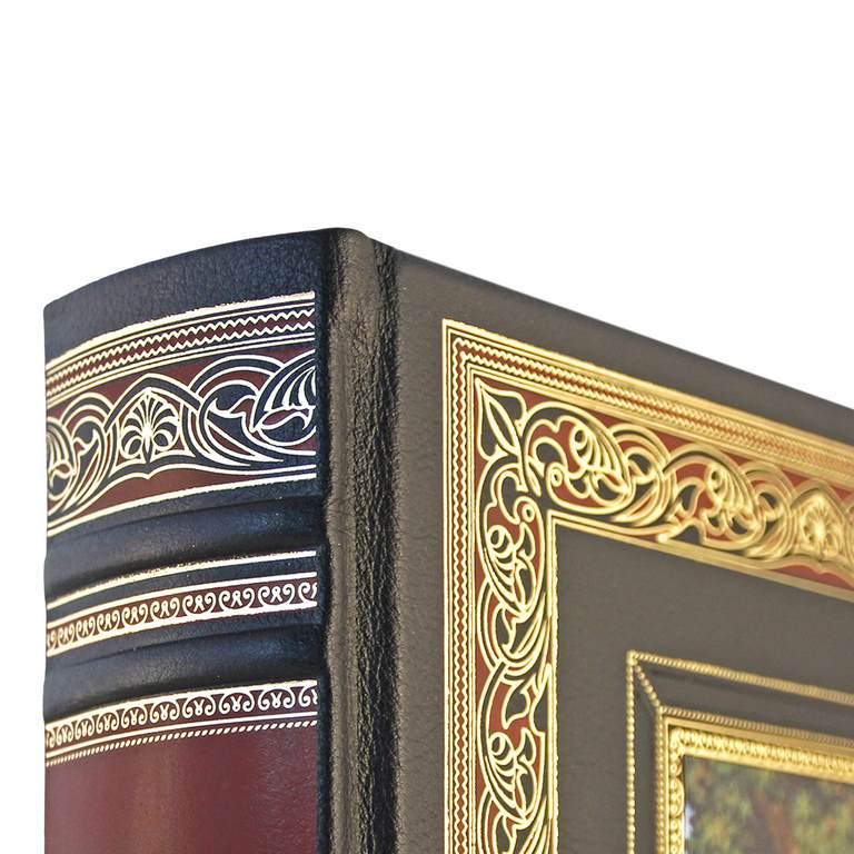 картинка Книга "Л. Н. Толстой. Анна Каренина" от магазина Бизнес подарки+