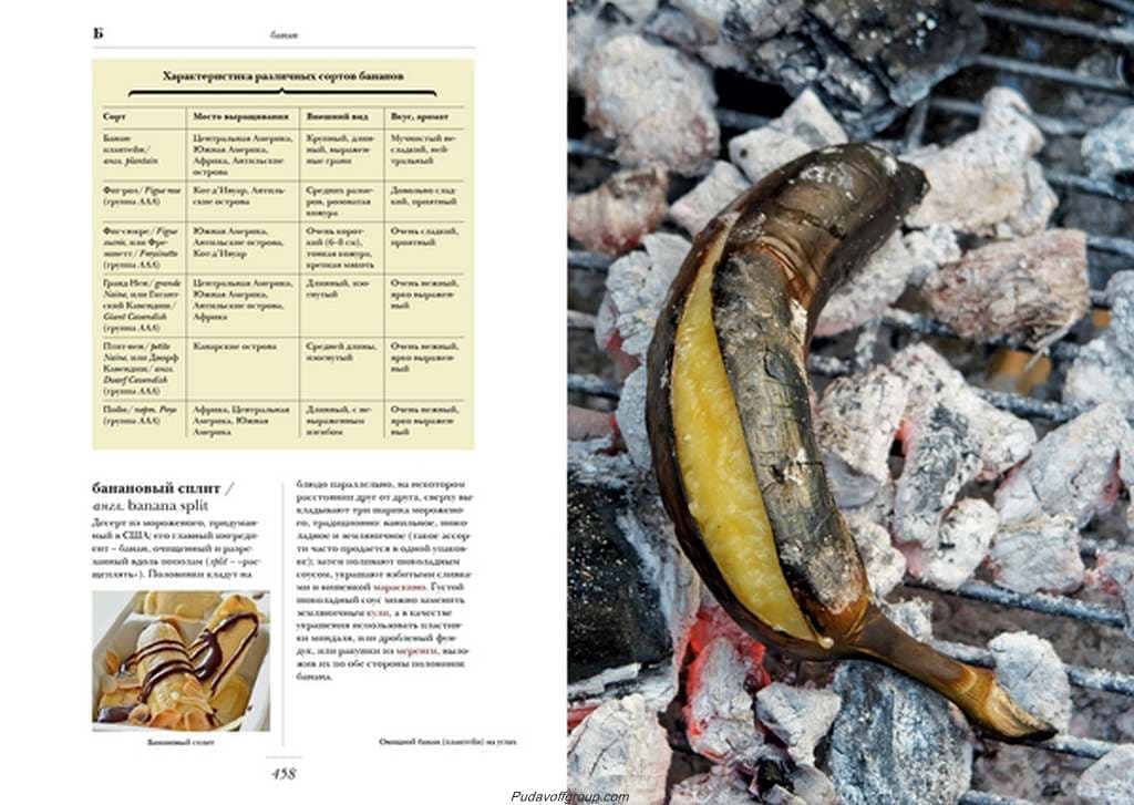   "  " (larousse gastronomique)  i  2-   - vip-biznes-podarki.ru 