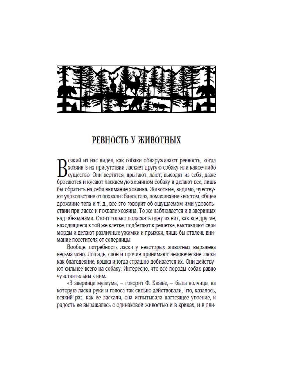   " .   "  - vip-biznes-podarki.ru 