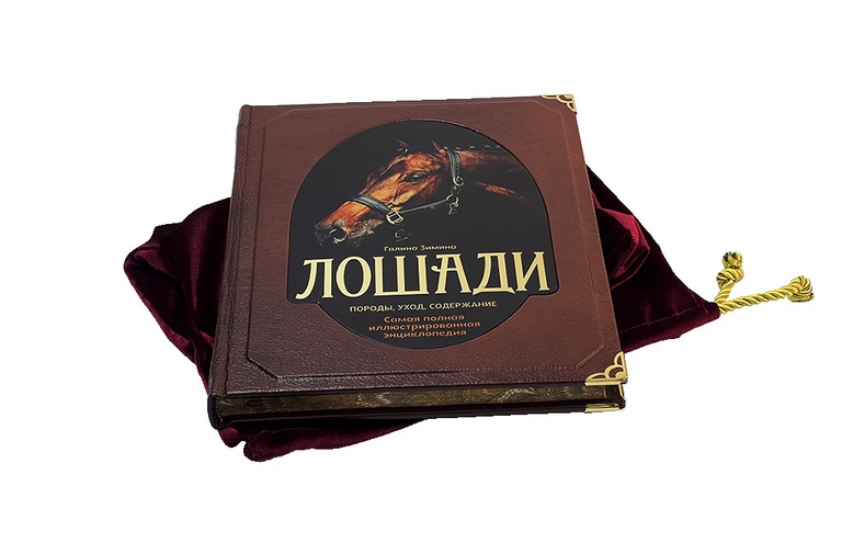   ".    "  - vip-biznes-podarki.ru 