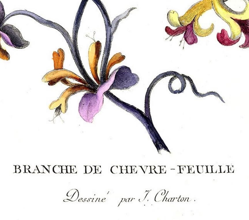    "  (J. Charton). "  - VIP  