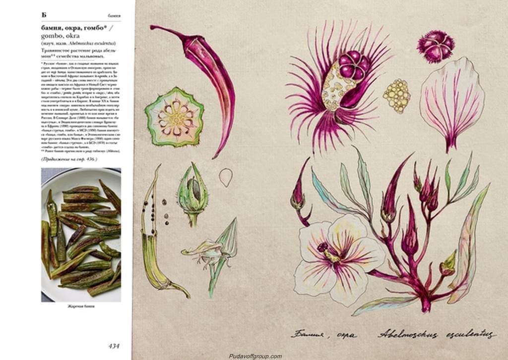   "  " (larousse gastronomique)  i  2-   - vip-biznes-podarki.ru 