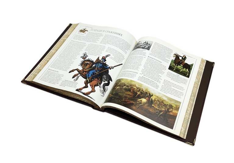 картинка Книга "Лошади. Новая энциклопедия" (в коробе) от магазина Бизнес подарки+