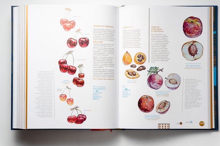 картинка Книга "Пьер Эрме. Ларусс. Десерты" от магазина Бизнес подарки+