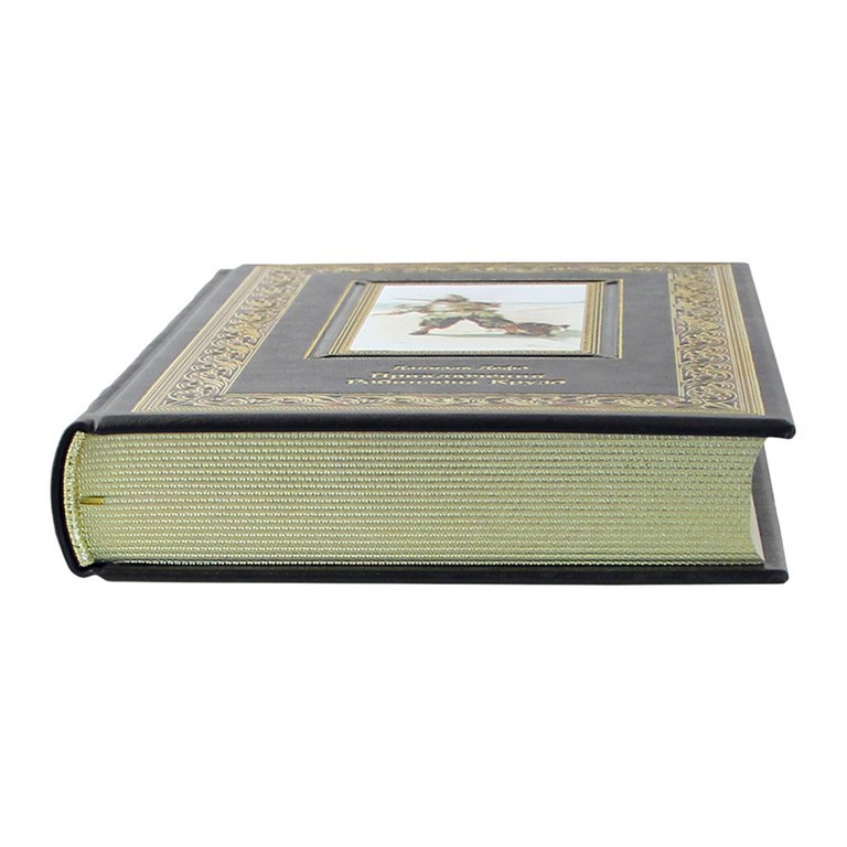 картинка Книга "Приключения Робинзона Крузо" от магазина Бизнес подарки+
