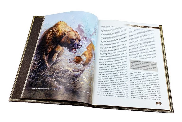 картинка Книга "Охота на медведя" от магазина Бизнес подарки+